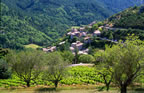 The village of Brantes, at the foot of Mont Ventoux, Vaucluse. (126kb)