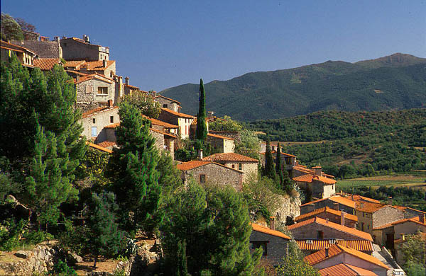 The terraces of Eus, Pyrénées-Orientales.