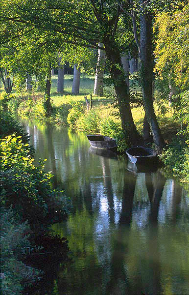 Creek near Couon, Marais-Poitevin, Deux-Sèvres.