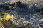 Fishing nets, Quiberon (124kb)